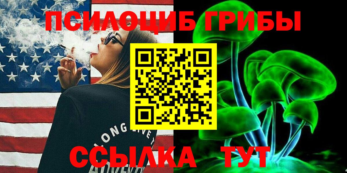 Псилоцибиновые грибы Psilocybine cubensis Сарапул